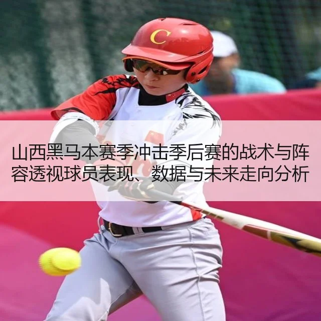 山西黑马本赛季冲击季后赛的战术与阵容透视球员表现、数据与未来走向分析